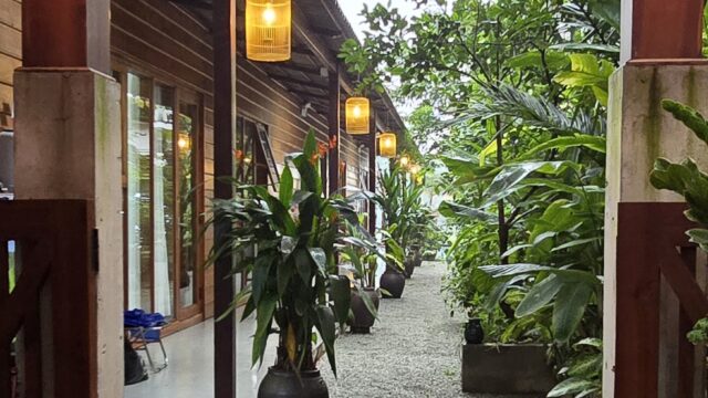 inbound5472902299084196529